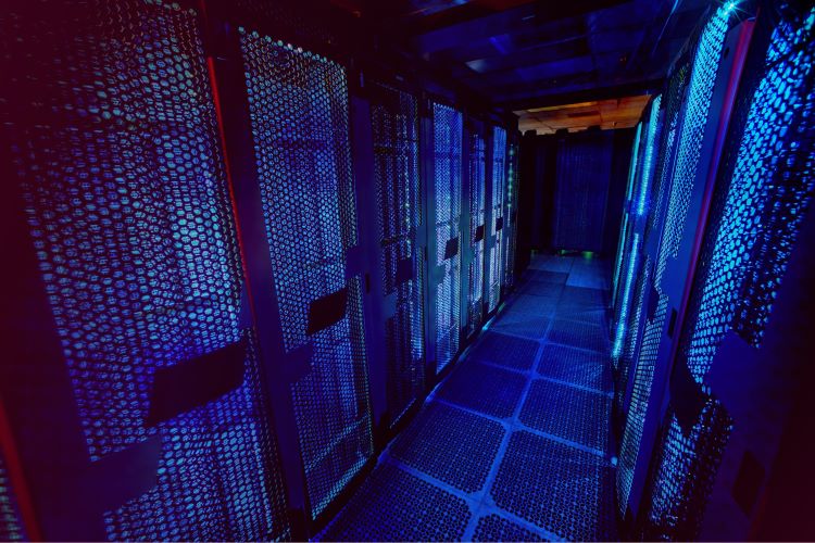 Web Hosting Uptime 