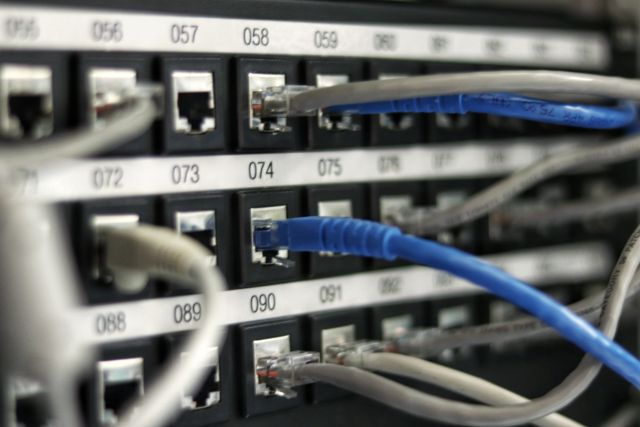 Web Hosting Uptime